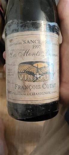 Loirevallei Sancerre François Cotat Les Monts Damnés 1997