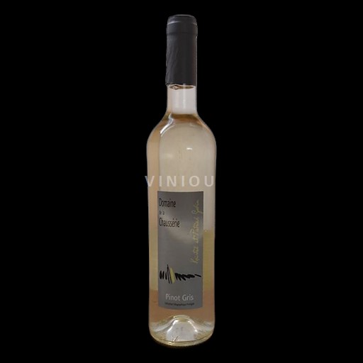 Dolina Loare Ni doloceno Domaine Kristel et Patrick Gobin Pinot Gris Neleten.