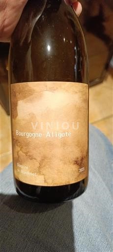 Borgoña Borgoña-Aligoté Château Mandelot 2023