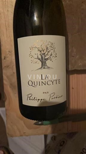 Loire Valley Quincy Philippe Portier La Quincÿte 2022