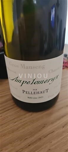 Zuidwest-Frankrijk Niet gespecificeerd Domaine Pellehaut Ampelomeryx 2023