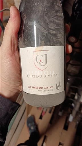 Вина Rouge sec Les Ribes du Vallat Château Juvenal 2022 Francuska Рона долина Ванту AOC