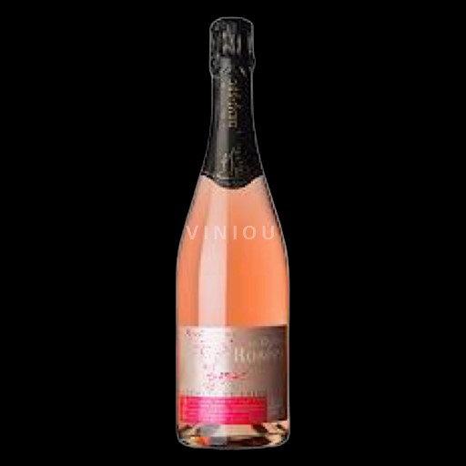 Loirevallei Saumur Domaine Saint Landor Bulles rosé 2023