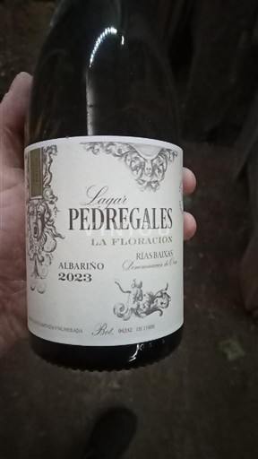 Galicie Rías Baixas Lugar Pedregales La Floración 2023