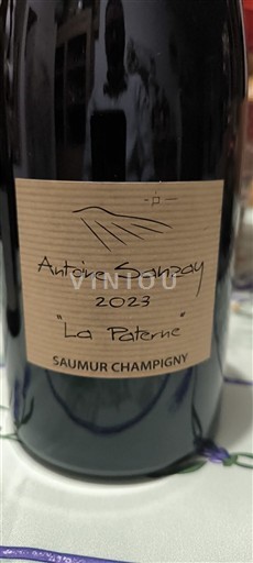 Loiredalen Saumur-champigny Antoine Sanzay La Paterne 2023