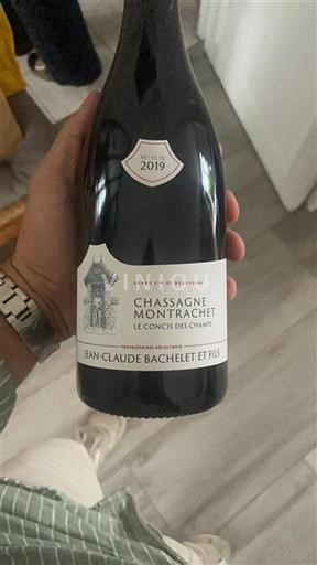 Burgund Chassagne-Montrachet Jean-Claude Bachelet et Fils Le Concis des Champs 2019