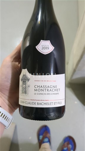 Burgundija Chassagne-montrachet Jean-Claude Bachelet et Fils Le Concis des Champs 2019