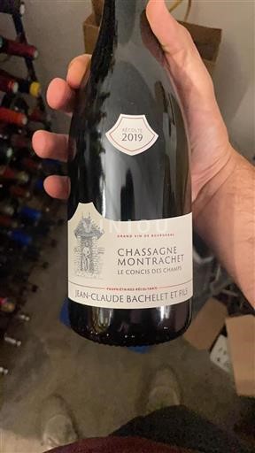Burgund Chassagne-Montrachet Jean-Claude Bachelet et Fils Le Concis des Champs 2019
