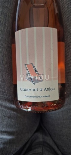 Vale do Loire Cabernet-d'Anjou Domaine S des Deux Vallées 2024