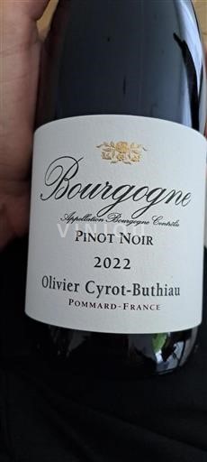 Bourgogne Olivier Cyrot-Buthiau Pinot Noir 2022
