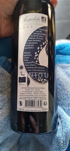 Thung lũng sông Loire Thung lũng Loire Ampelidae Le S 2022