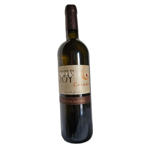 Sudoeste Côtes de Gascogne Domaine de Joÿ Demi sec 2019