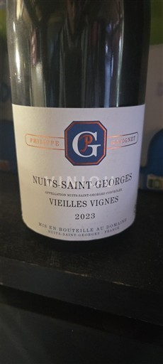 Bourgogne Nuits-saint-georges Philippe Gavignet Vieilles vignes 2023