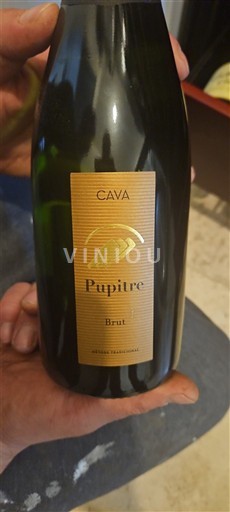 Catalonia Cava Pupitre Không niên vụ
