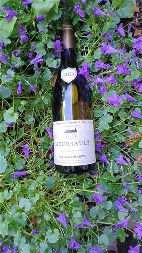 Burgundy Meursault Domaine Chapelle & Fils Les Malpoiriers 2023
