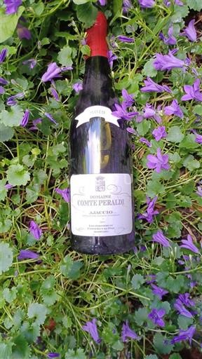 Corsica Ajaccio Domaine Comte Peraldi 2019
