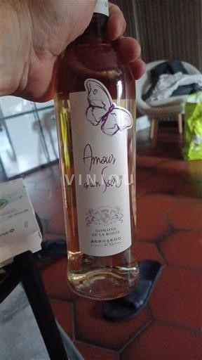 Beaujolais Không được chỉ định Domaine La Ronze Amour d'un Soir Không niên vụ