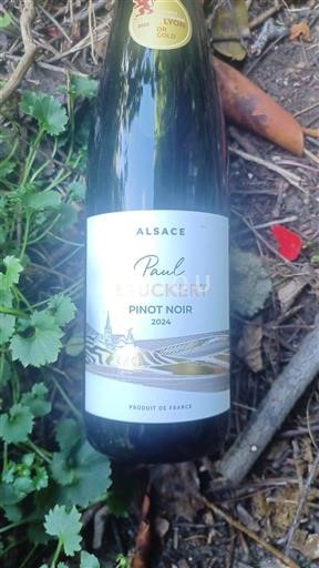 Alsace Pinot noir Paul Bruckert Pinot Noir 2024