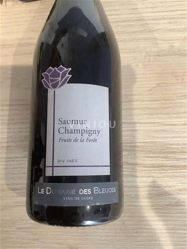 Loire Valley Saumur-Champigny Domaine Le des Bleuces Fruits de la Forêt 2013