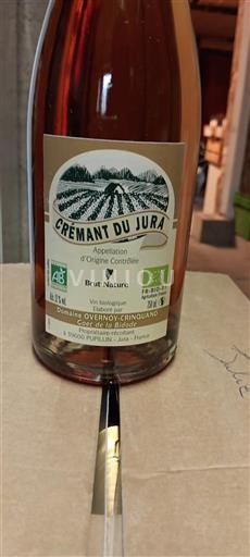Jura Crémant del Giura Domaine Overnoy-Crinquand Gaec de la Bidode Senza annata