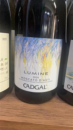 Piémont Dolcetto d'Asti Cadgal Lumine 2024