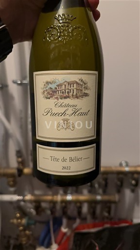 Languedoc Puech-Haut Tête de bélier 2022