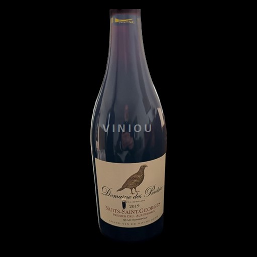 Bourgondië Nuits-saint-georges Premier Cru Domaine Des Perdrix Aux Perdrix 2019
