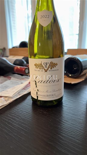 Burgundi Ladoix Domaine Vincent Ravaut 2022