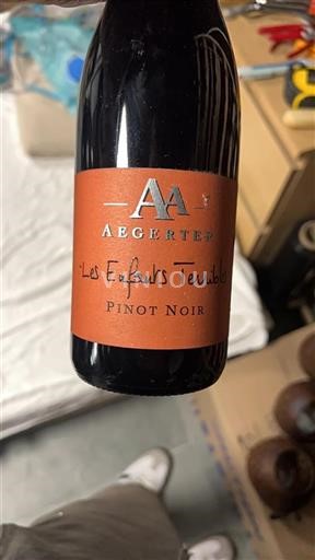 Bourgogne Aegerter Les Enfants Terribles Non Millésimé