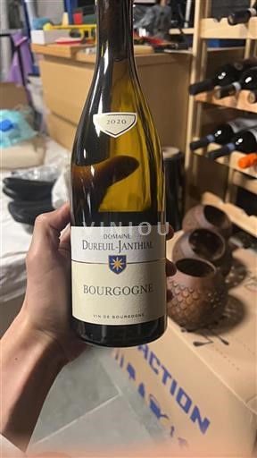Bourgogne Dureuil-Janthial 2020