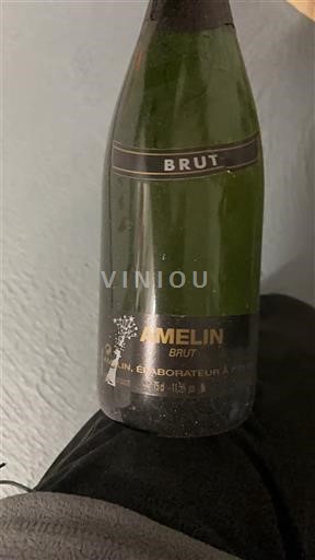 Champagne Amelin Brut Senza annata