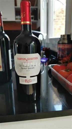 Bordeaux Saint-Julien Barton & Guestier Les Roches de Rimbaud 2021