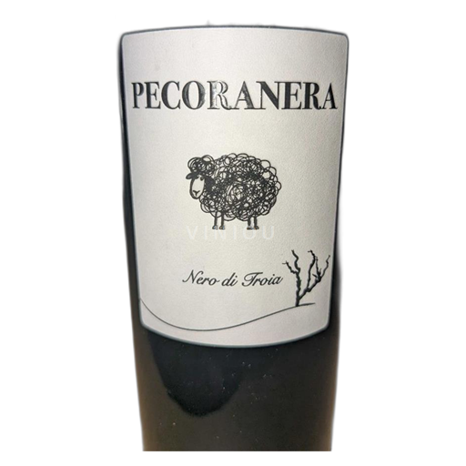 Pouilles Cantine Risveglio Pecoranera 2023