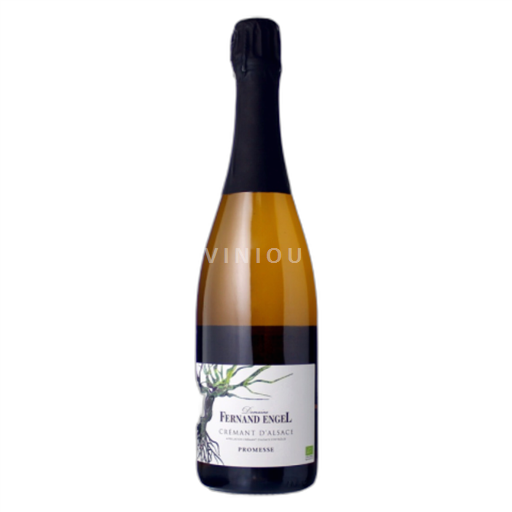 Alsace Không được chỉ định Fernand Engel Promesse Không niên vụ