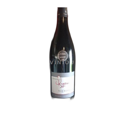 Loire-dalen Saumur-Champigny Domaine Des Raynières Les Poyeux 2020