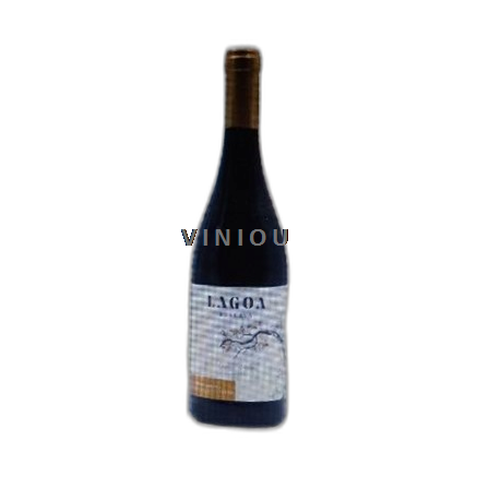 Algarve Lagoa 1995 1995