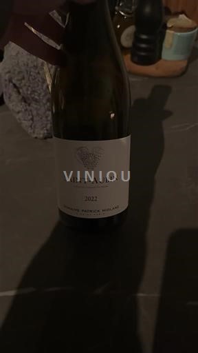 Borgoña San Aubin Domaine Patrick Miolane 2022