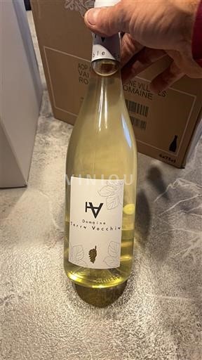 Languedoc và Roussillon Thung lũng Cesse Domaine Terre Vecchie 2024