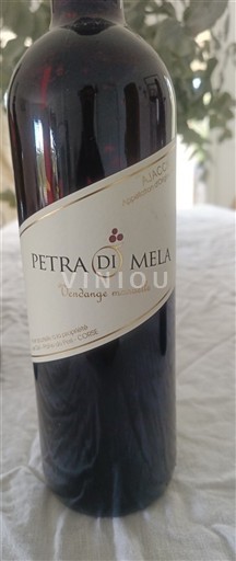 Korzika Ajaccio Petra di Mela Vendange manuelle 2023