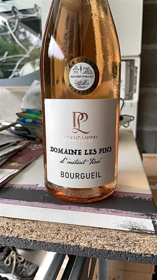 Vale do Loire Bourgueil Domaine Les Pins L'instant Rosé 2023