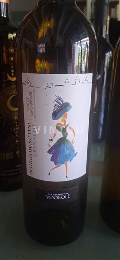 Languedoc và Roussillon Thành phố Carcassonne Vignoble de Vendéole Des filles dans le vent 2021