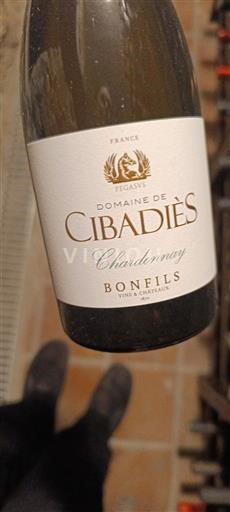 Languedoc y Rosellón País de Oc Domaine Cibadiès Chardonnay 2022
