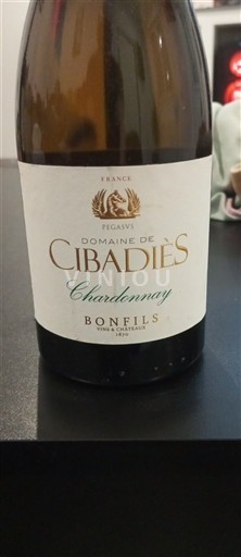 Languedoc và Roussillon Vùng đất Oc Domaine Cibadiès Chardonnay 2022