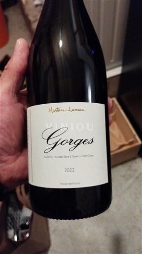 Thung lũng sông Loire Không được chỉ định Domaine Martin Luneau Gorges 2022