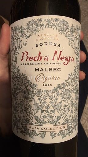 Mendoza Không được chỉ định Bodega Piedra Negra Alta Colección 2023