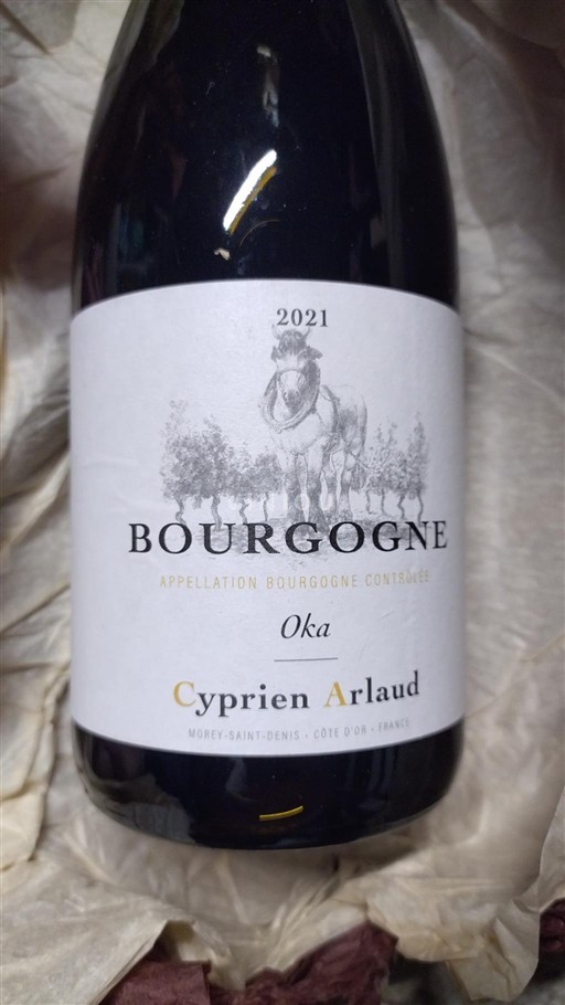 Burgundsko Cyprien Arlaud Oka 2021