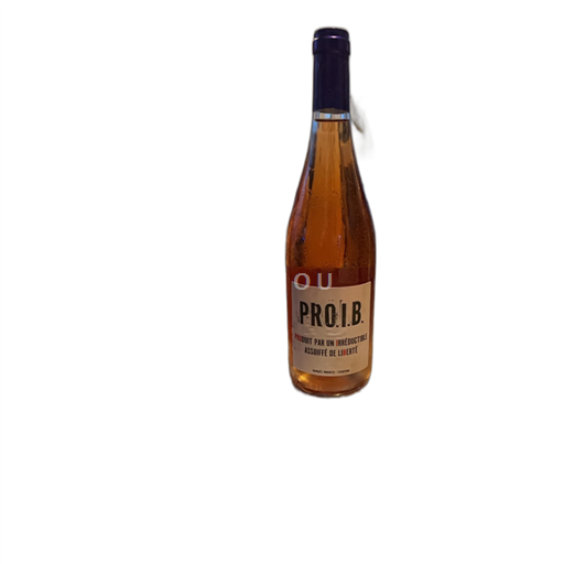 Rhônedalen Raphael Pommier PROIB 2021