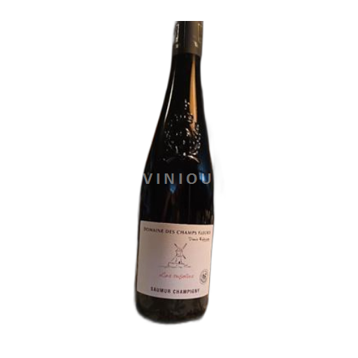 Loire-dalen Saumur-Champigny Domaine Des Champs Fleuris Les Tufolies 2023
