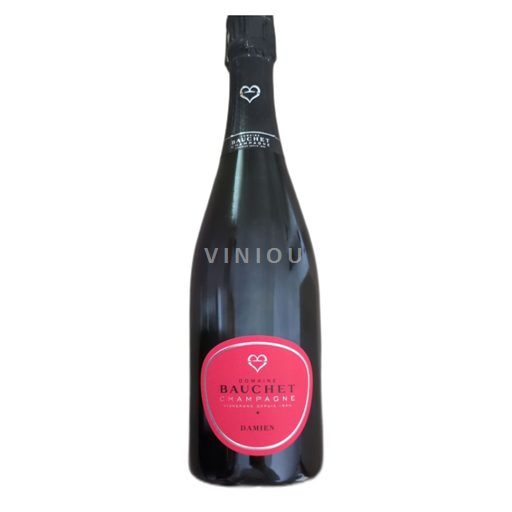 Champagne Bauchet Damien Icke årgångsbetecknad