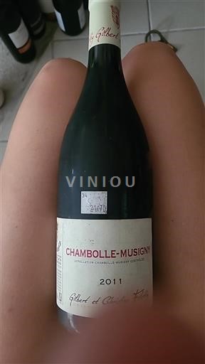 Burgund Chambolle-Musigny Gilbert et Christine Felettig 2011
